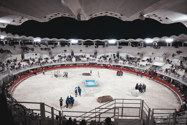 Coach sportif suisse : un coaching personnalisé à domicile